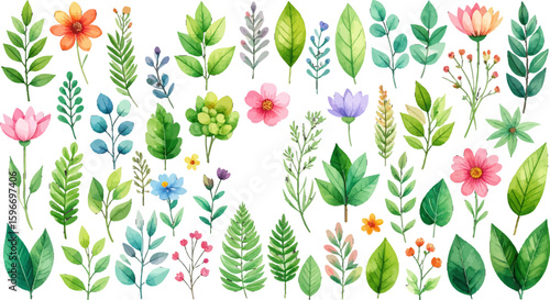 Watercolor botanical leaves and floral. Greenery clipart with soft floral accent. Hand-painted foliage and wildflowers set. Spring plants and leaves watercolor design. Green leaf and flower watercolor
