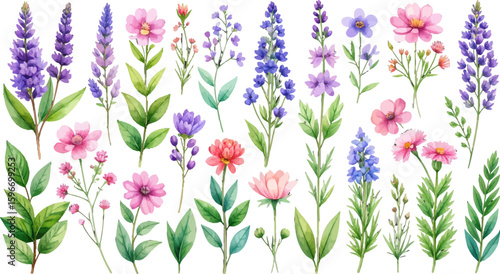 Soft watercolor lavender floral design. Colorful spring florals illustration. Botanical watercolor clipart in bloom. Romantic pink wildflower arrangement. Watercolor garden flowers and herbs