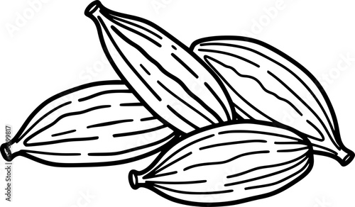Cardamom pods outline icon vector
