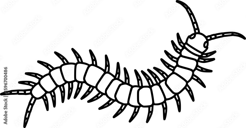 Naklejka premium Centipede outline icon vector 