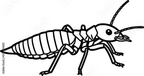 Termite outline icon vector
