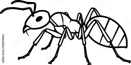 Ant outline icon vector for minimal black and white design
