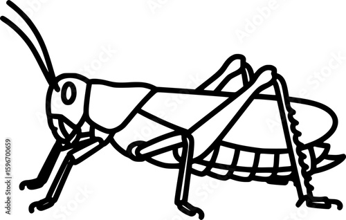 Grasshopper outline icon vector

