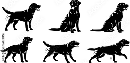 labrador retriever dog breed black silhouette logo set
