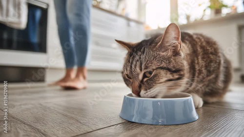 Cat eating from its bowl in the kitchen. In the background, a person’s legs walking away. Cozy domestic scene with warm atmosphere.

