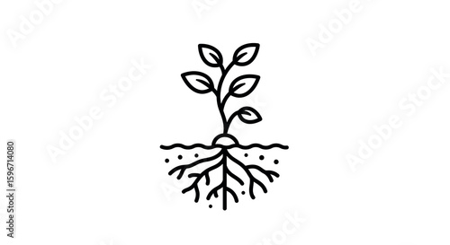 Growing plant with roots symbolizing environmental growth and nature connection