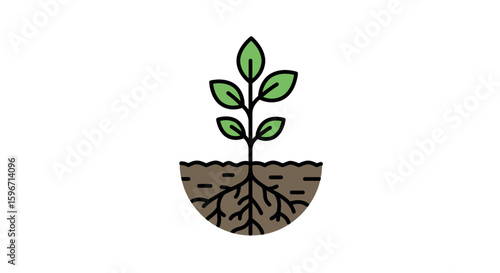 Minimalist plant growing with roots and leaves symbol on white background