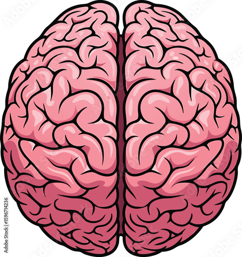 Cartoon illustration of a human brain depicting neurology anatomy and cerebral cortex