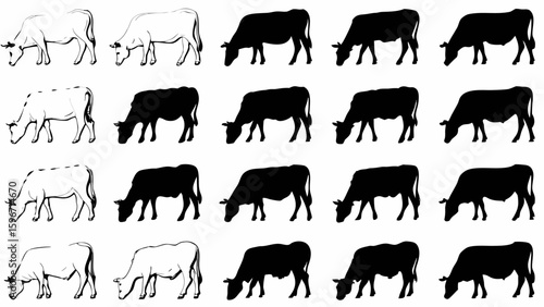 Rows of alternating black and white cows grazing in a field in a repeating pattern design element