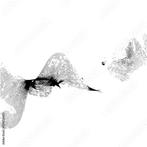 Abstract black and white illustration of curved lines and shaded areas with a textured appearance art