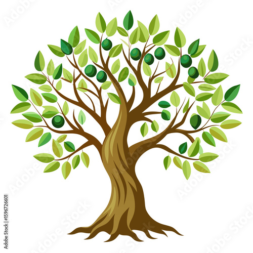 Olive tree with gnarled bark and olives, white background
