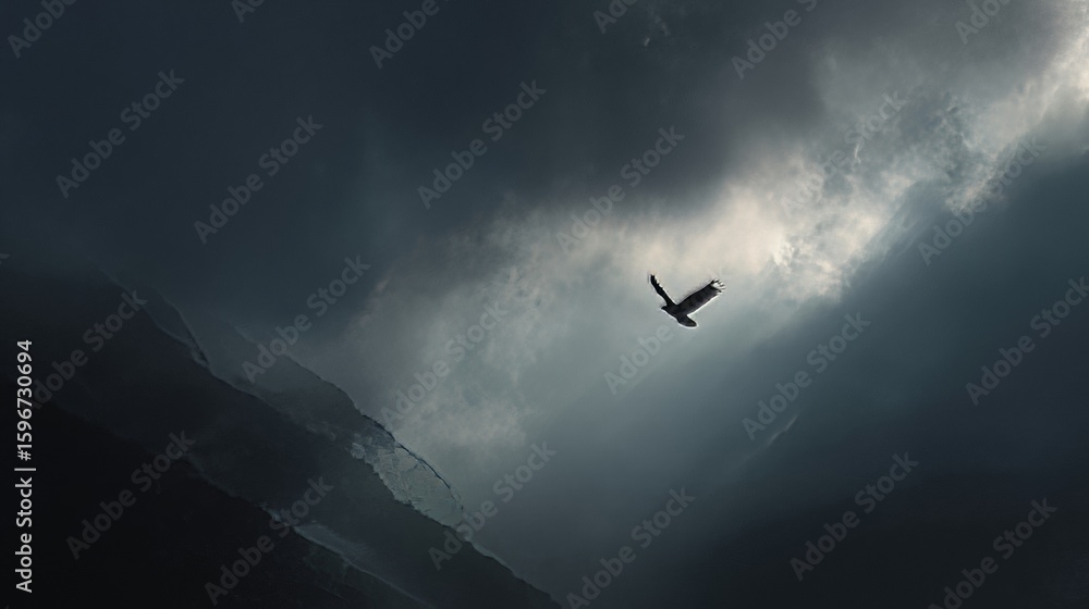Fototapeta premium clouds in the sky