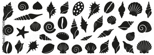 Seashell silhouettes including conchs, scallops, spirals, and starfish. Useful for beach graphics, ocean themes, and summer decorations