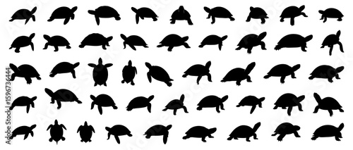 Turtle silhouettes collection including sea turtles and land tortoises in various positions, swimming, walking, and resting