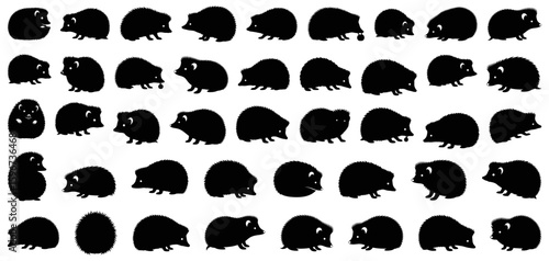 Hedgehog silhouette collection showing different poses and movements, including walking, sitting, curling into a ball, and eating. The set combines cartoon and realistic styles for wildlife, pet care