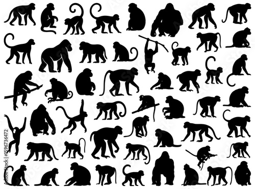 Monkey and ape silhouettes including gorillas, chimpanzees, orangutans, and various monkeys in sitting, climbing, and swinging poses