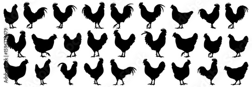 Chicken silhouettes collection featuring roosters and hens in multiple poses, including standing, walking, and crowing