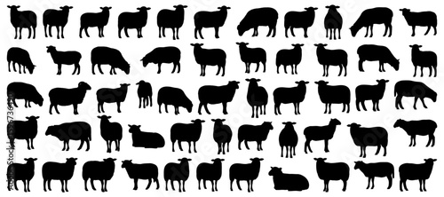 Sheep silhouette collection featuring various farm animals in grazing, standing, walking, and lying positions. Perfect for agriculture projects, wool production visuals, and rural countryside