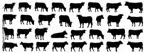 Cow silhouettes collection presenting various views of cows standing, grazing, and lying down. Includes bulls and calves for use in agricultural, farm