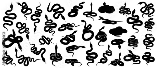 Snake silhouette collection with coiled, slithering, and striking poses in various curves and shapes. Useful for reptile wildlife themes, medical symbols