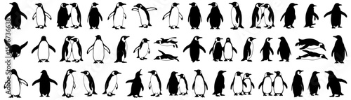 Penguin silhouettes collection showing different penguins standing, swimming, and interacting in pairs. Perfect for polar-themed projects, wildlife illustrations, and educational