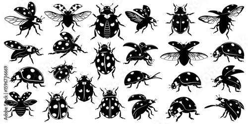 Ladybug and beetle silhouettes in various positions, flying and crawling. Great for spring and garden designs