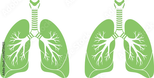 Green lungs illustration for respiratory health and pulmonary medicine design