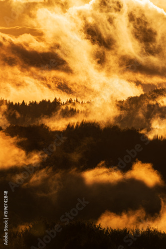 Misty Abstract Landscape with Trees in the Bieszczady Mountains
