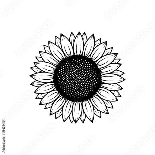 A black and white sunflower illustration isolated on white background