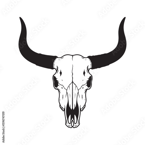 Vector illustration of a detailed monochrome bull skull with large curved horns