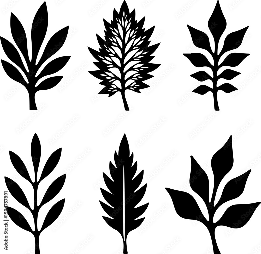 Fototapeta premium Decorative Leaf floral, botanical, vector graphics black