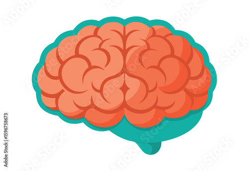 Human Brain Vector Illustration Isolated Clipart for Medical and Educational Design