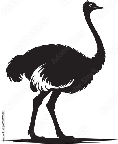 Black and white Ostrich silhouette vector, emu bird silhouette