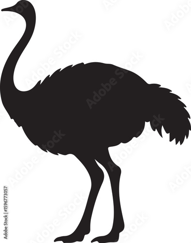 Black and white Ostrich silhouette vector, emu bird silhouette