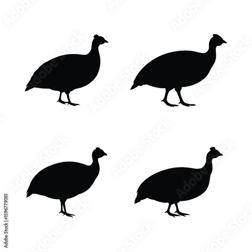 Guinea Fowl Silhouette Vector Set – Black Guinea Fowl Bird Icons Isolated on White Background
