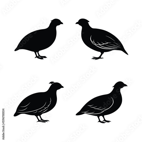 Partridge Silhouette Vector Set – Black Partridge Bird Icons Isolated on White Background