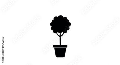 Tree in pot silhouette on white background