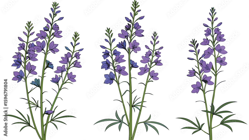 Naklejka premium Adobe Illustrator Artwork