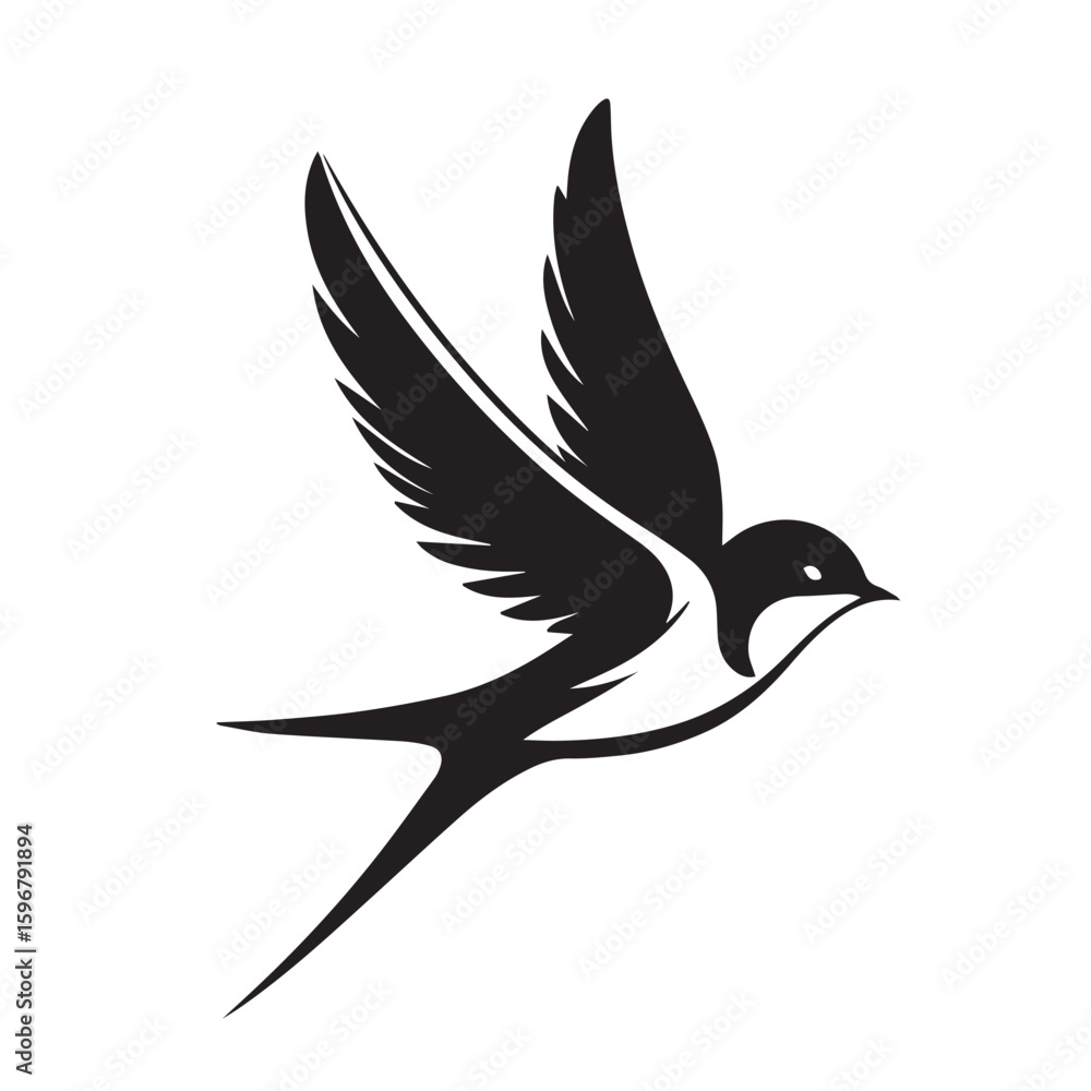 Fototapeta premium silhouette of a Swallow bird