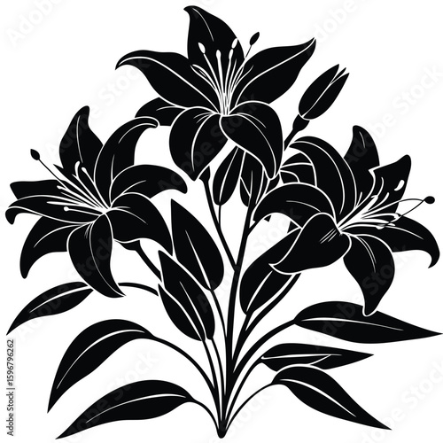 Black lily flower silhouette isolated on white background