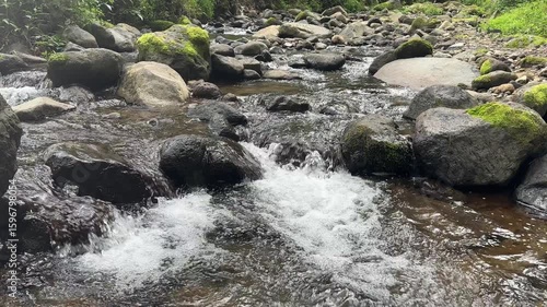 Clean mountain river water flowing between rugged rocky shores in pristine nature. Scenic mountain river flowing through lush green forest on a sunny summer day. Surface of the river water is clear.
