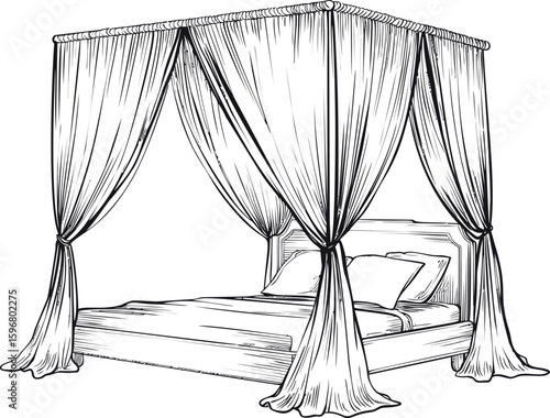 Wooden canopy bed with draped curtains in detailed line art illustration. Vector illustration