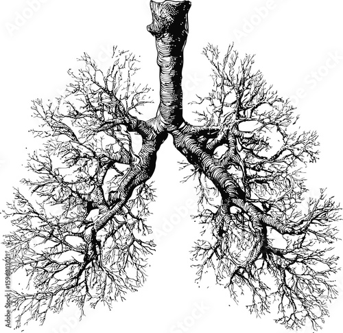Intricate black and white drawing of tree resembling human lungs, conceptual art. Vector illustration