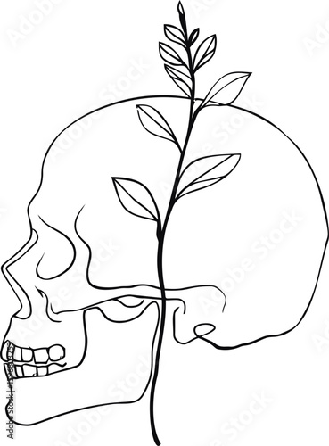 Minimalist line art of a human skull with a plant growing through it. Vector illustration