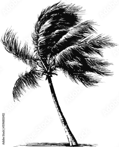 Black and white sketch of swaying palm tree in stormy winds. Vector illustration