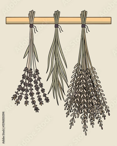 Three bunches of dried herbs hanging from a wooden bar