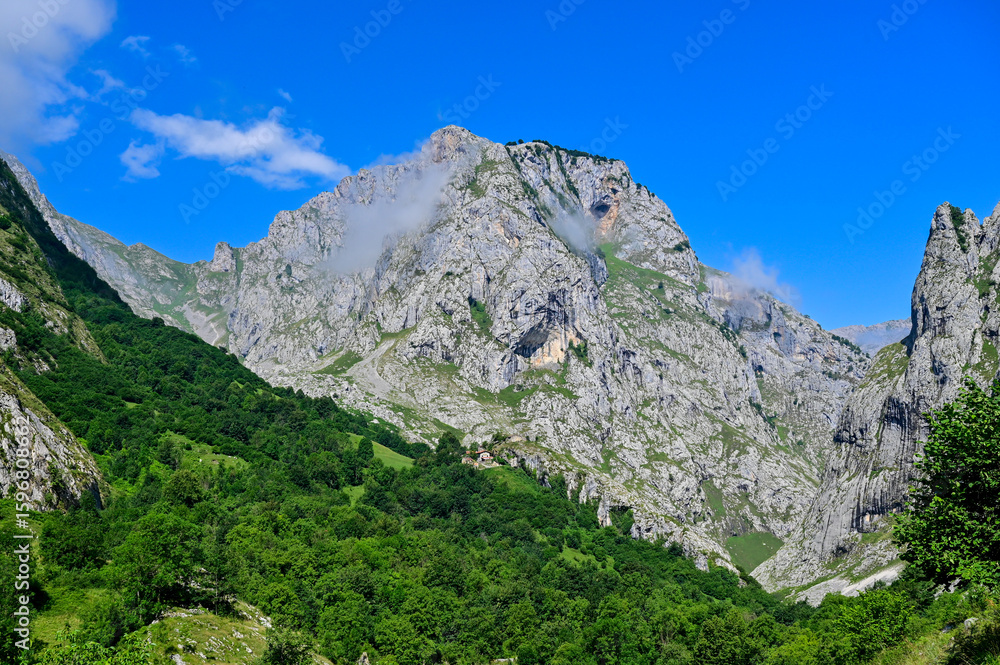 Obraz premium Beautiful Picos de Eurtopa national park in northern Spain, during summer