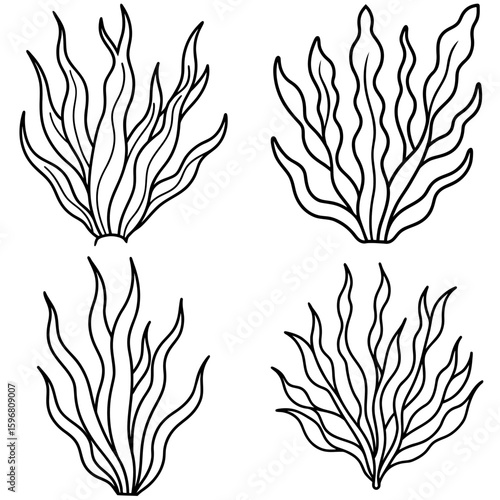 Seaweed or Plant Coloring Page – Underwater Seaweed Outline for Kids