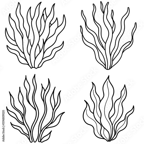 Seaweed or Plant Coloring Page – Underwater Seaweed Outline for Kids