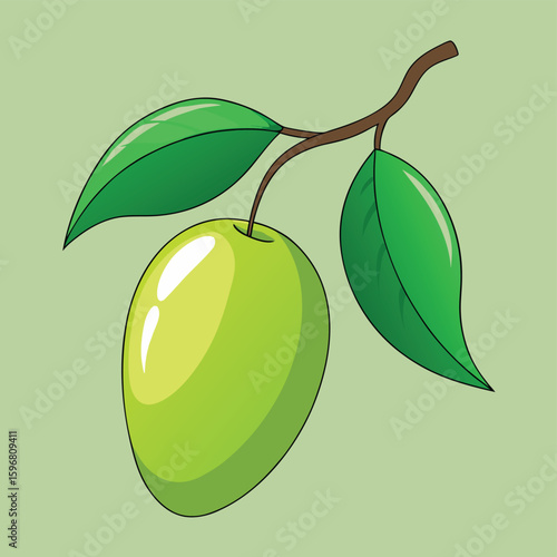 Vibrant green raw mango fruit hanging from a leafy tree branch depicted as a detailed vector illustration for natural and healthy food concepts